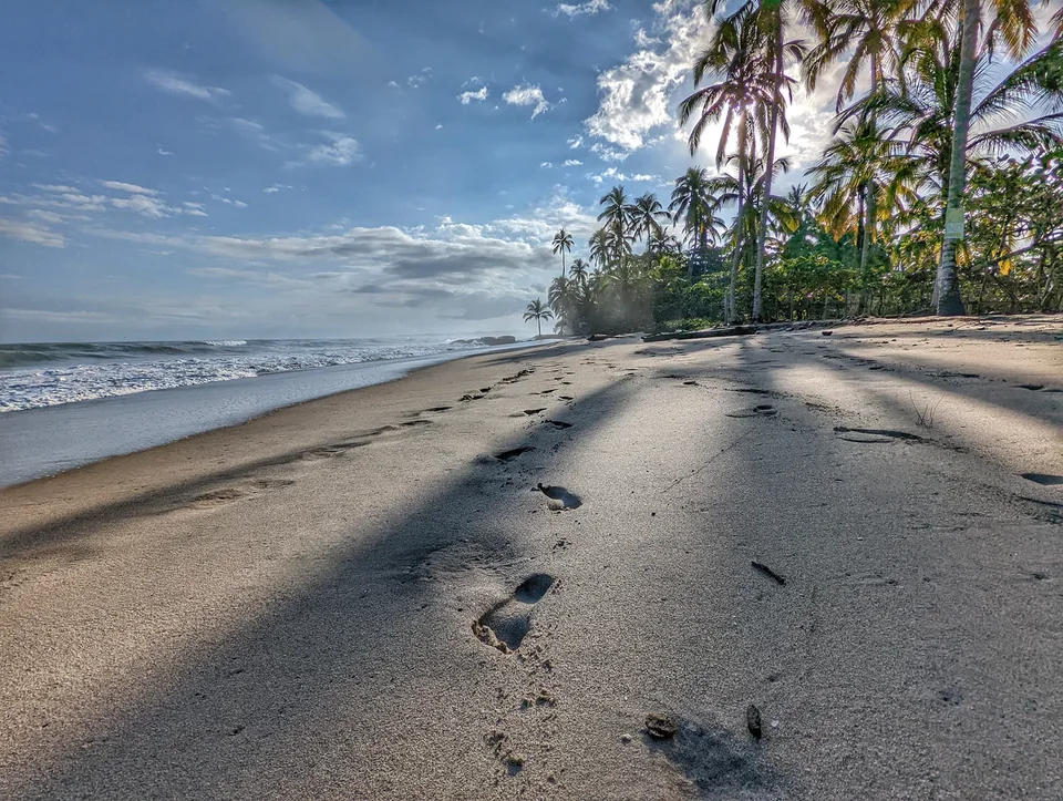 Playa de Palomino, La Guajira, con palmeras y costa del Caribe