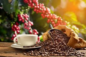 cafe cafe